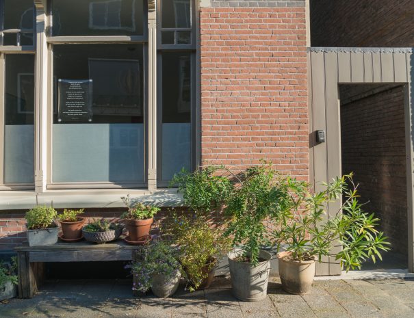 SlapenindeSchil-19